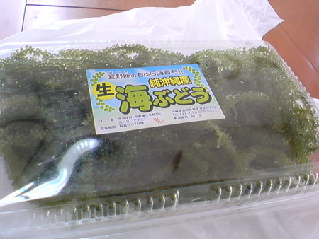 打ち合わせ♪（何の？）