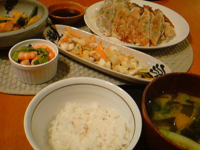鶏レバー餃子とたんかんのお土産♪