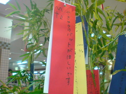 久しぶりに・・・。
