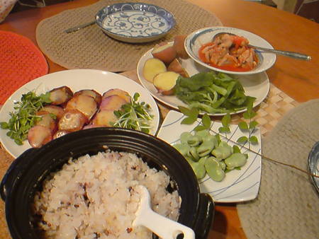レン・チン♪簡単チキンのトマトソース煮込み