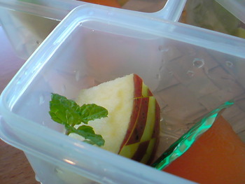 秋の遠足弁当♪