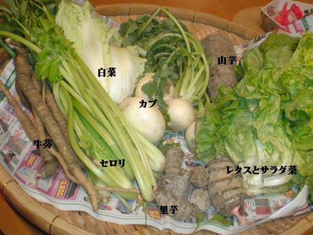 じぃちゃん作野菜達♪