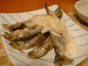 春の野菜消費週間始まりました♪