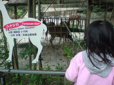 動物園も楽しみました♪