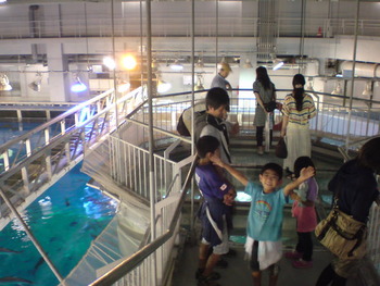 G.Wにオススメ☆夜の水族館。