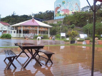 雨の中楽しんでます♪