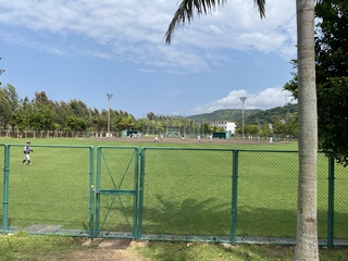 今年も和歌山