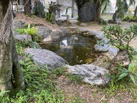 ハイサイ探偵団 2021/03/06 22:11:00