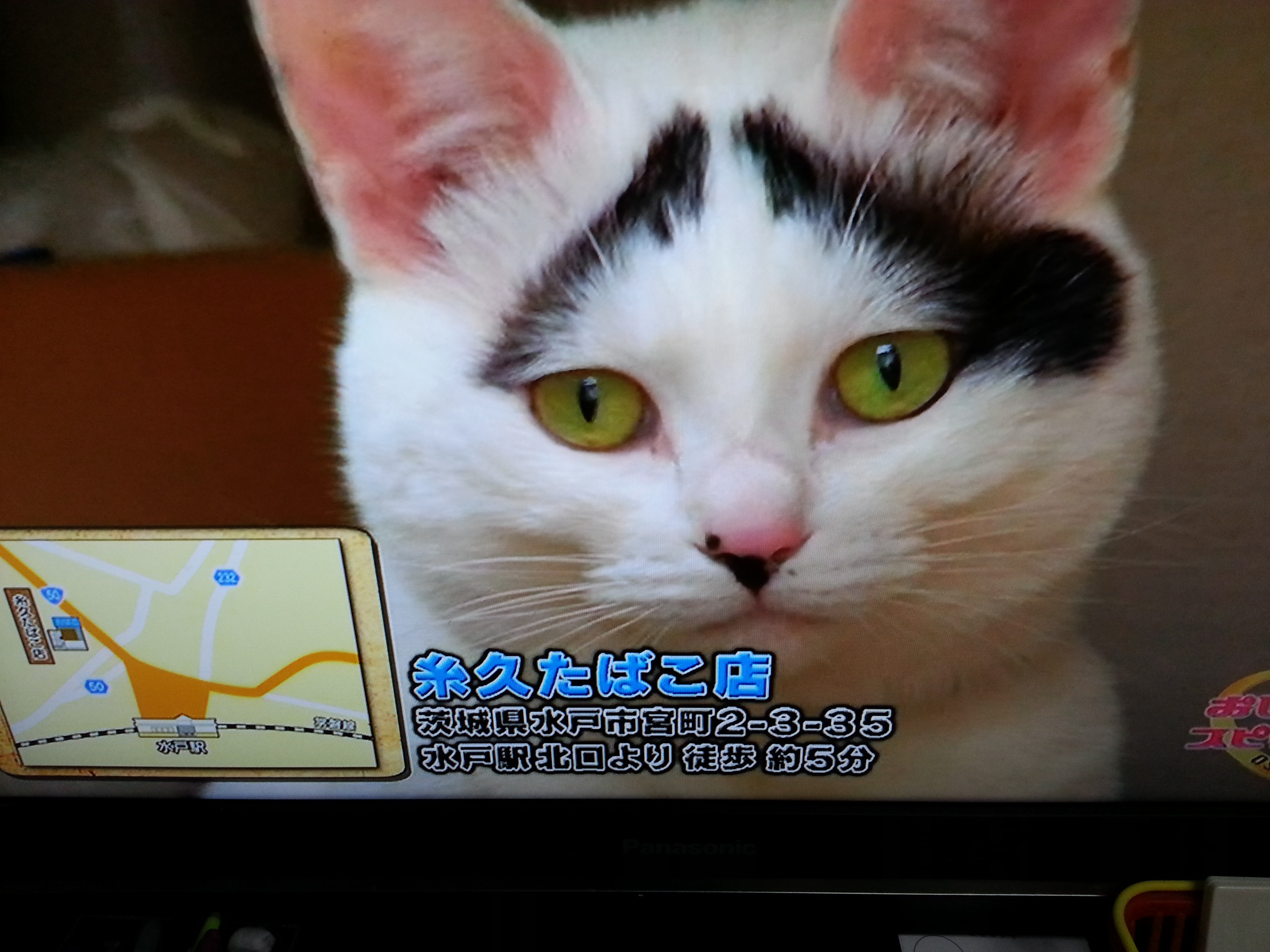 宝くじが1億円当た・・・
