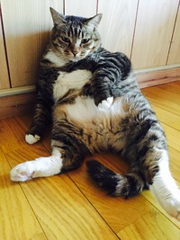 まいった・・。