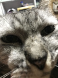 いたわろう。