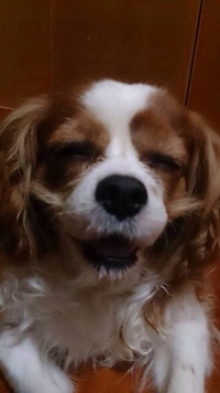 日曜日♪
たくさんのご来店あ… 2014/07/06 18:01:39
