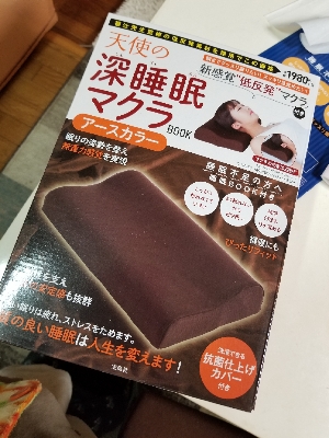 天使の深睡眠マクラ 宝島社 美ら海水族館すぐ近くのおいしい カフェレストラン 美ら海キッチンぱぱいや 初美ママのブログ