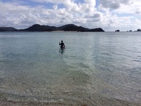 座間味島へ②