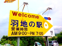 名物 ニューハーフ