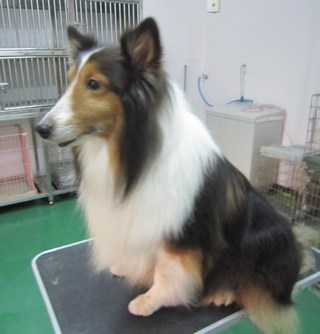 お久しぶりです☆
