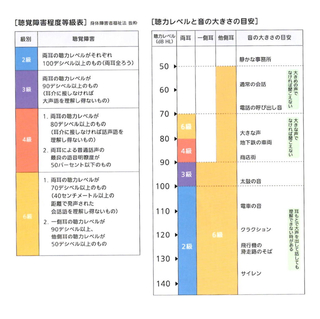 相談→診断→申請→審査→交付