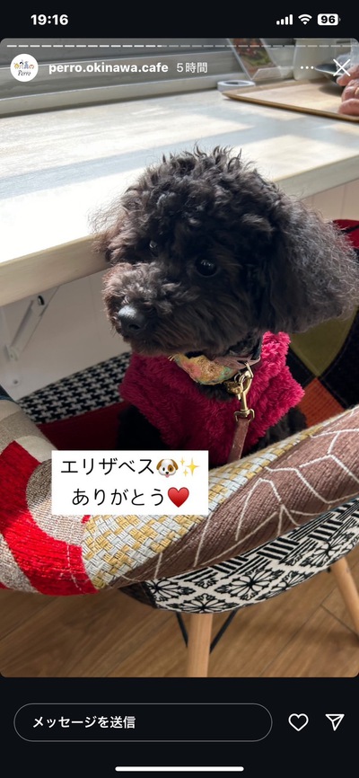 エリザベスちゃんの雛祭り