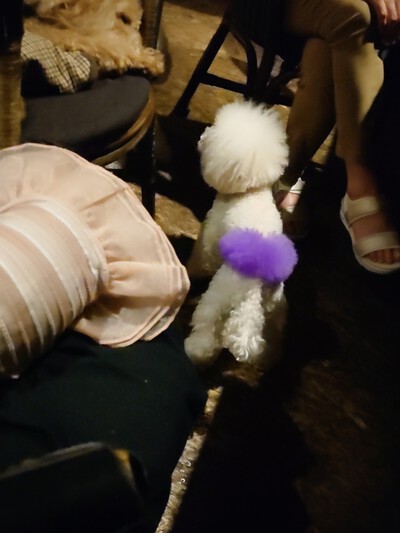 安室ちゃんラスト花火ショー最高でした