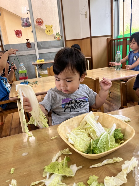 食育〜白菜に触れてみよう‼︎〜