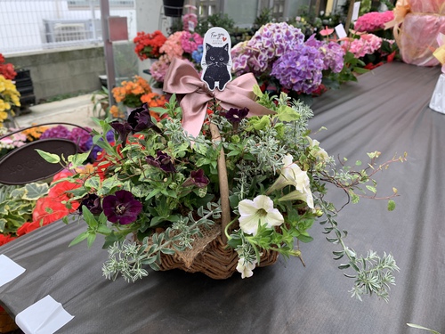 母の日 プランツギャザリング 花束のような1ランク上の寄せ植え