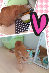 ちゃいちゃん♪ 2014/07/16 14:00:00