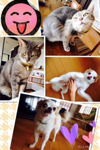 仲良し2匹♬ 2014/09/12 10:00:00