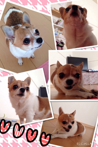 ヒメちゃん♬ 2014/12/12 10:00:00