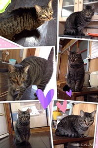 3兄弟♬ 2015/02/05 10:00:00