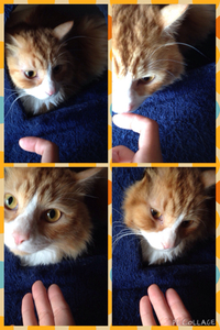 ソラ君♬ 2014/11/07 10:00:00