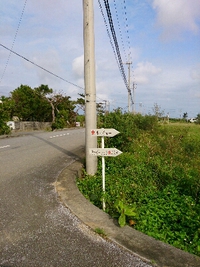 色んなこと