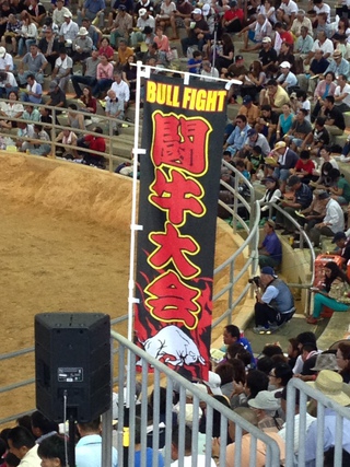 闘牛大会　２