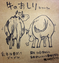 牛さんのおしり
