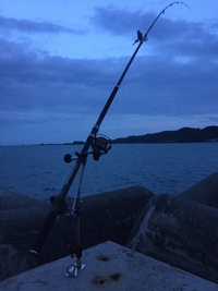 近場釣行 2017/06/27 19:41:52