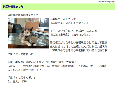 ハナにゃん、獣医に行く