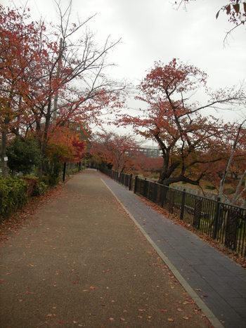 名古屋です♪