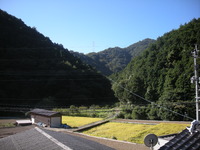 福岡・・・田舎です