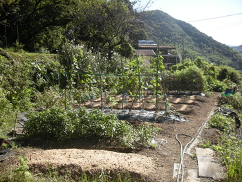 福岡・・・田舎です