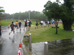 水泳大会