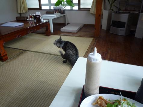 中華料理DAIKEI