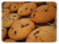 チョコチップクッキー 2006/01/08 00:34:00