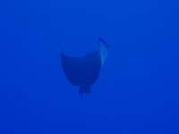 季節の変化を感じる海でした。