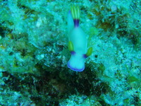 なんでしょうか　暑いです。