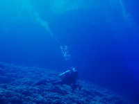 ベストコンディションの海