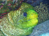 やぱっり海はいいな！
