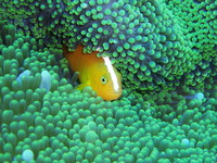 やぱっり海はいいな！