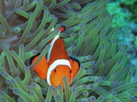 やぱっり海はいいな！