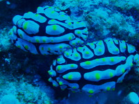 やぱっり海はいいな！