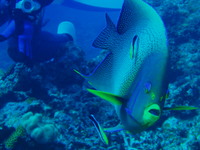 やぱっり海はいいな！