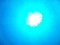 夏、継続中…